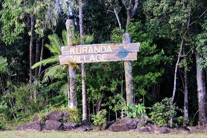 Private Shore Tour: Kuranda Rainforest &Skyrail from Port Douglas - What Past Travelers Are Saying