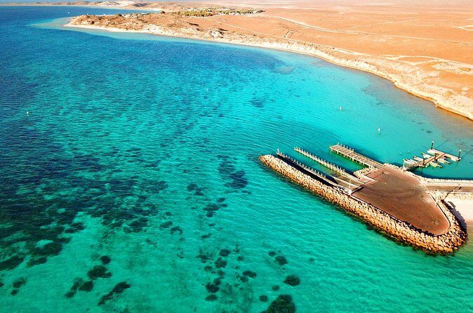 Private Shore Tour: Scenic Flight Over Ningaloo Reef & Transfer - Why This Tour Is Worth It
