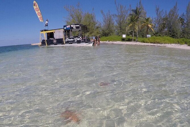 Private Short Tour to Stingray City and Local Welcome Drink - What the Tour Offers: A Closer Look