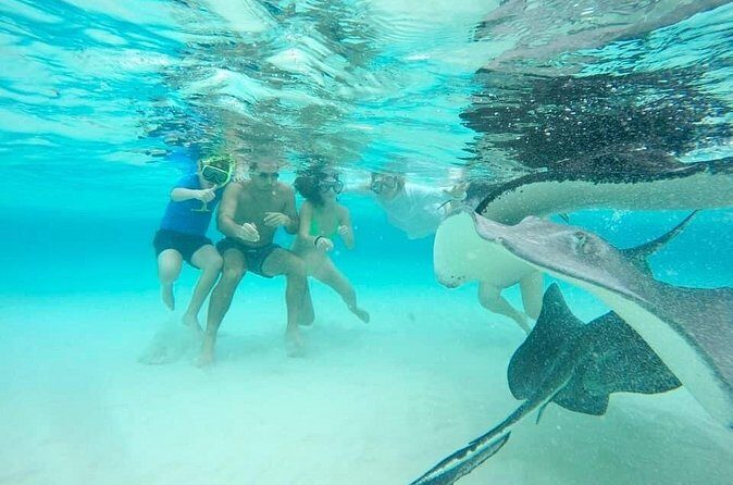 Private Short Tour to Stingray City and Local Welcome Drink - Who Should Consider This Tour?