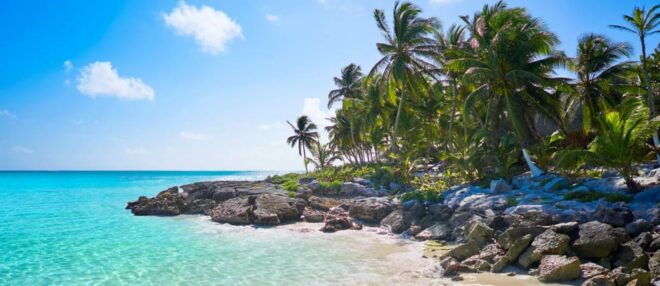 Private Shuttle From Tulum Airport to Hotel Zone Tulum - Meeting Point and Requirements