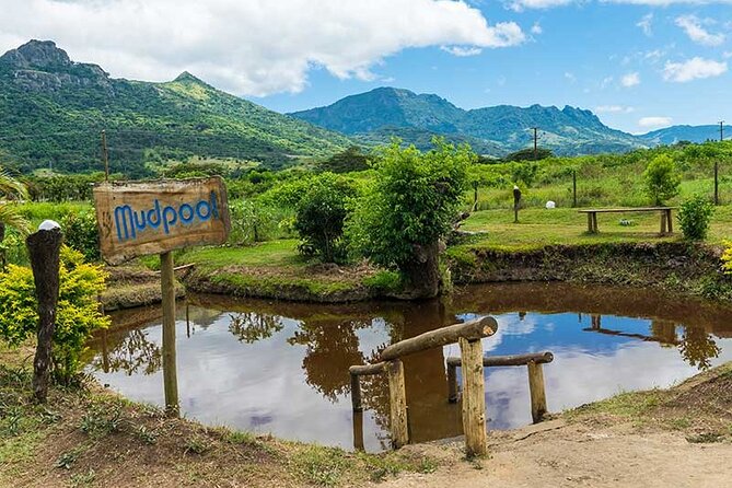 Private Shuttle Transfer- Nadi Airport to Hotels - Customer Experiences and Tips