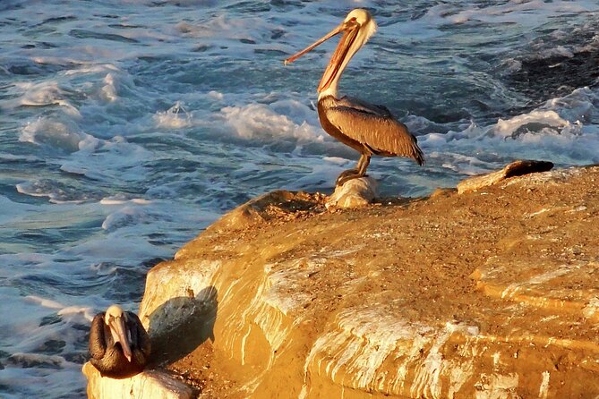 Private Shuttled Coastal Gems Scenic Customizable Tour - Traveler Photos