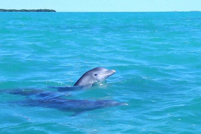 Private Sian Kaan Biosphere Tour - Tour Highlights