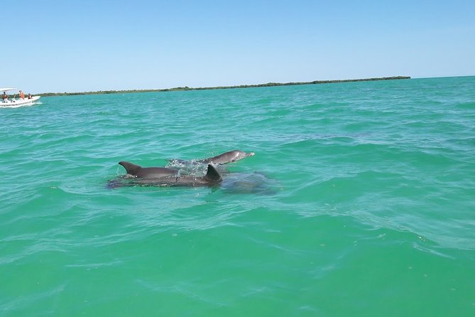 Private Sian Kaan Biosphere Tour - Dolphin Watching