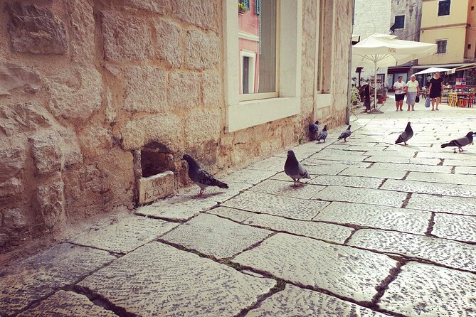 Private Sibenik Walking Historical Morning or Evening Tour - Insights Into Sibeniks Cultural Heritage