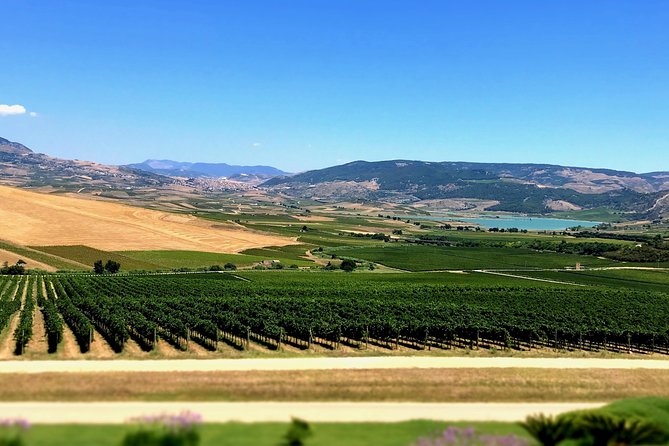 PRIVATE SICILY COUNTRYSIDE Exclusive Tour With Local Guide Starts From Palermo - Availability Status