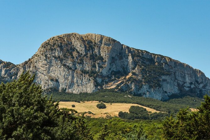 Private Sicily Tour Beyond The Godfathers Shadow - Culinary Delights to Indulge In