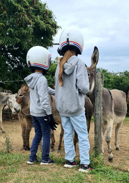 Private Side-Cars With Drivers in the Basque Country - Cultural Encounters and Gastronomy