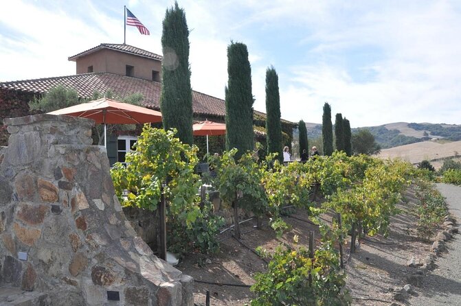 Private Sidecar Winery Tour Through Sonoma - Tour Details