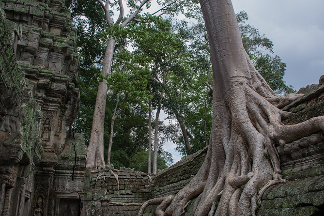 Private Siem Reap Airport Transfer - Pickup Information