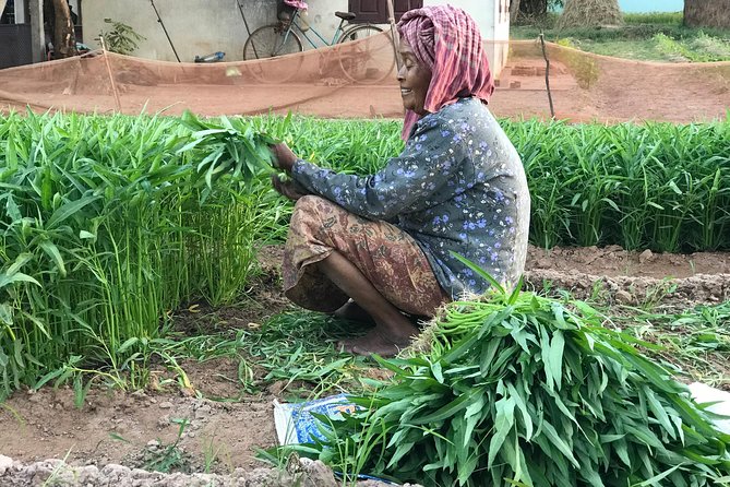 Private Siem Reap Countryside Tour by Jeep With Local Food Experience - Cancellation Policy
