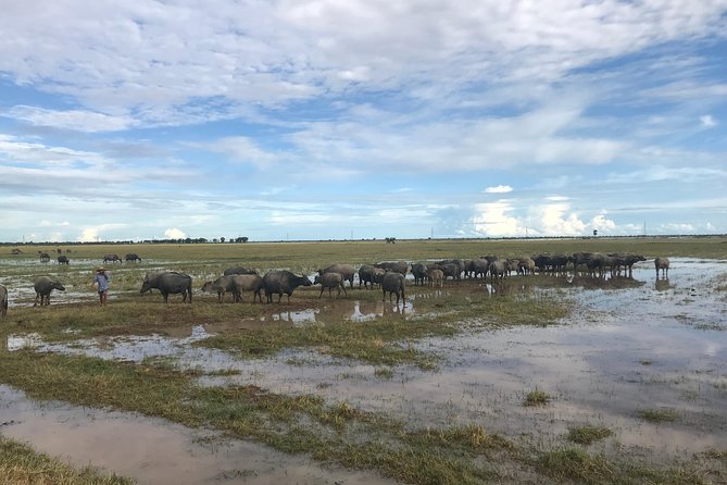 Private Siem Reap Countryside Tour by Jeep With Local Food Experience - Benefits of the Private Tour