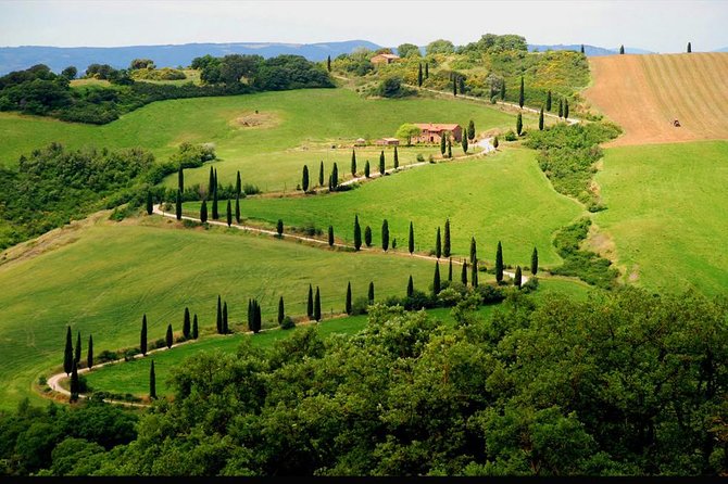 Private Siena and San Gimignano Tour With Wine Tasting From Rome - Itinerary Overview