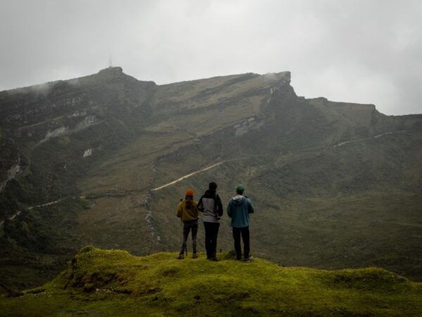 Private Sight Tour Chingaza Paramo From Bogota, Andean Bear - Directions