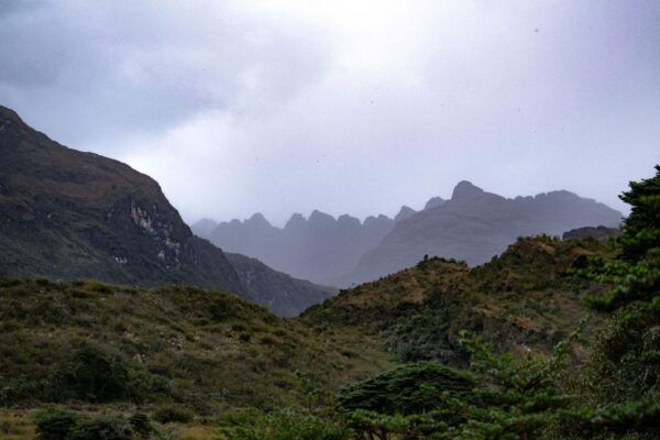 Private Sight Tour Chingaza Paramo From Bogota, Andean Bear - The Sum Up
