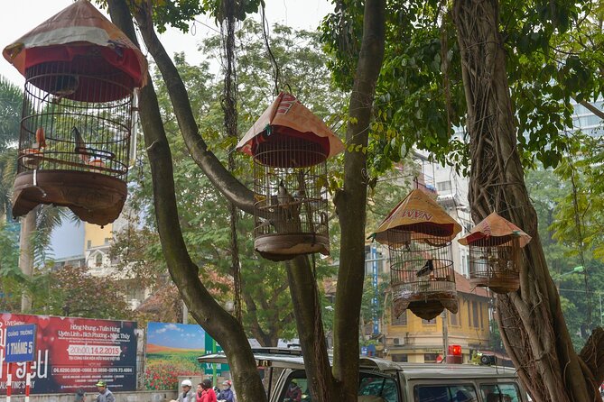 Private Sightseeing in Hanoi With Street Food Tasting - Group Size and Pricing