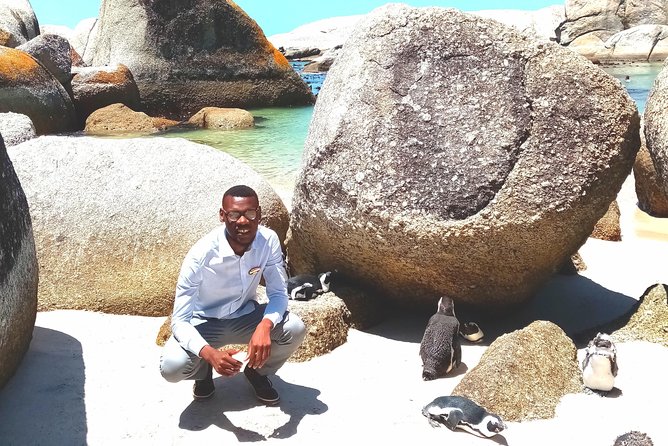 Private Sightseeing Tour; Cape of Goodhope, Cape Point & Penguin Tour - Tour Highlights