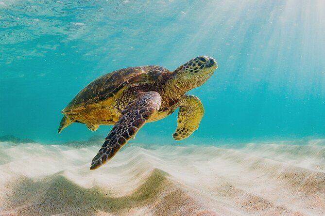 Private Sightseeing Tour in Nassau with Lunch - FAQ