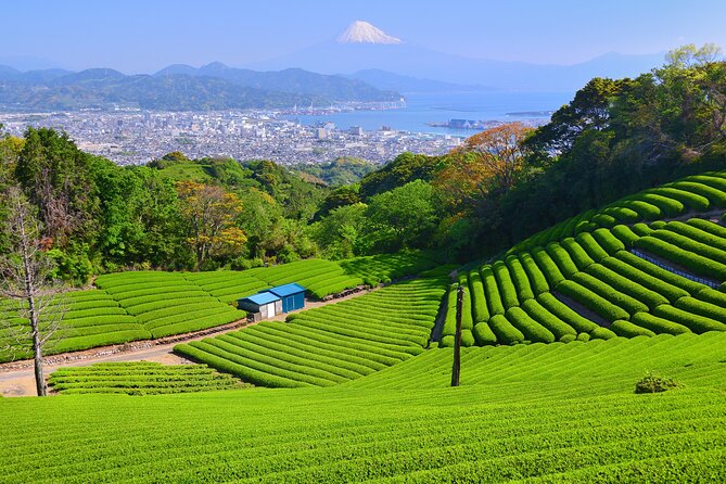 Private Sightseeing Tour in Shimizu Port by Sedan Taxis - Included Services