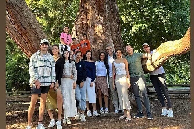 Private Sightseeing Tour in Victoria Canada - Exploring Victoria in Comfort and Style: A Review of the Private Sightseeing Tour in Vancouver Island