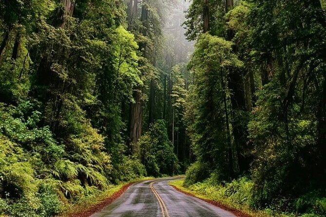 Private Sightseeing Tour in Victoria Canada - FAQs