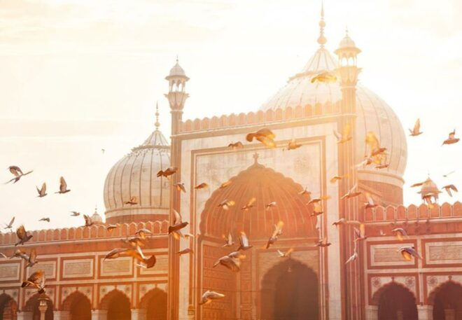 Private Sightseeing Tour of Old and New Delhi - Tour Itinerary