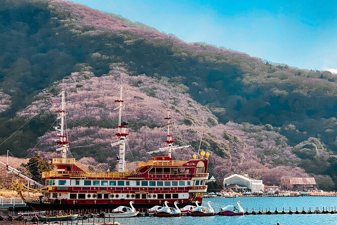 Private Sightseeing Tour to Mt Fuji and Hakone Guide - Special Offer