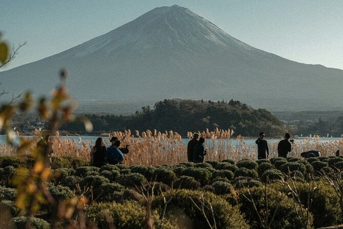 Private Sightseeing Tour to Mt Fuji and Hakone Guide - The Sum Up