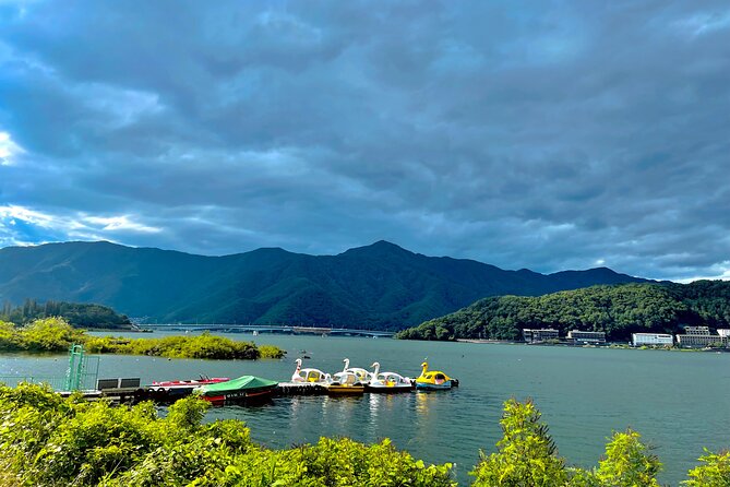 Private Sightseeing Tour to Nikko With English Speaking Driver - Pricing and Guarantee