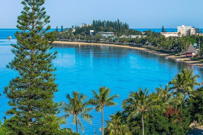 Private Sightseeing Tours - Transportation & Comfort