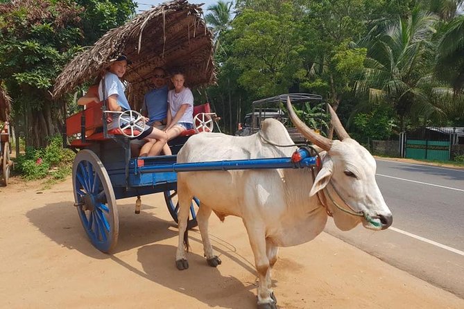 Private Sigiriya, Dambulla and Village Day Trip From Colombo - Itinerary