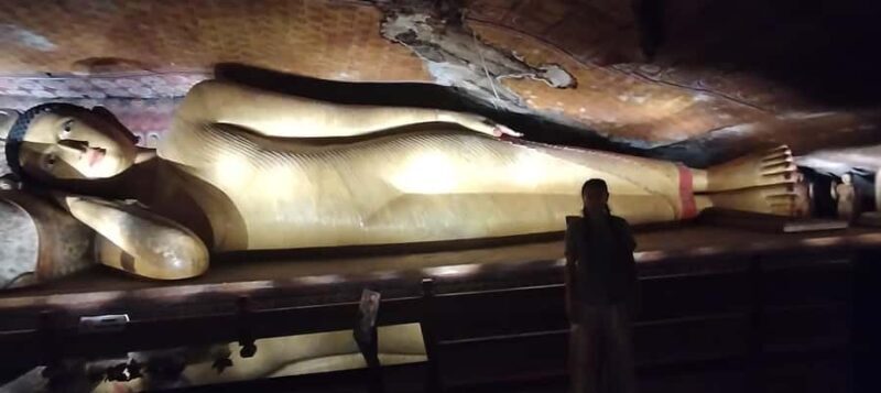 Private Sigiriya Day Tour from Kandy: Temples & Elephants - Who Will Love This Tour?