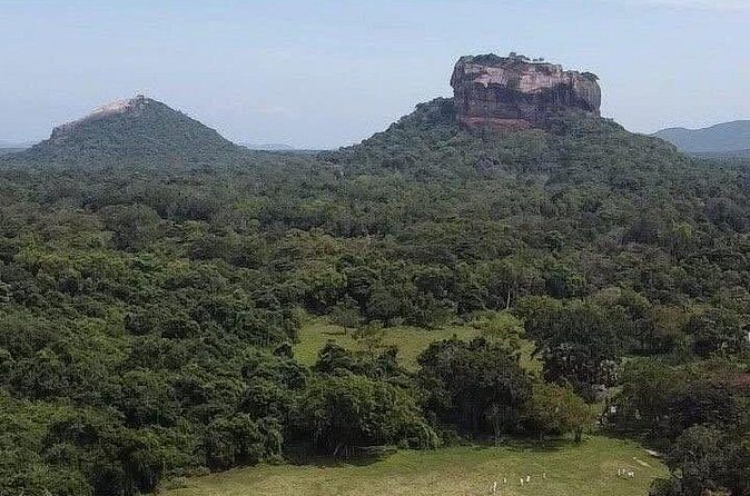 Private Sigiriya Tour from Kandy to Dambulla & back to Kandy - Authentic Insights from Reviewers