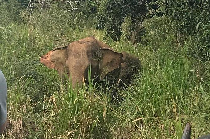 Private Sigiriya Tour from Kandy to Dambulla & back to Kandy - FAQ