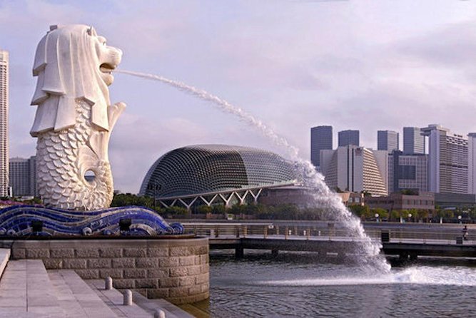 Private Singapore Airport Layover Walking Tour - Cancellation Policy