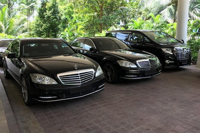 Private Singapore Arrival Transfer: Airport or Cruise Terminal to City - Good To Know