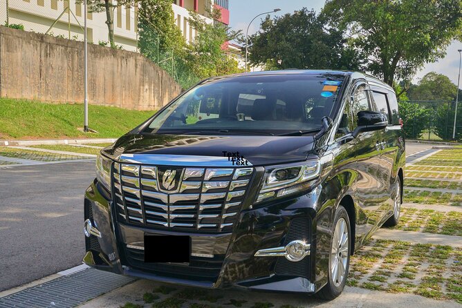 Private Singapore Departure in Mini Van From Hotel to Changi Airport - Pricing and Reservation Details