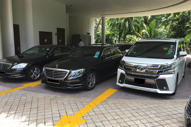 Private Singapore Departure Transfer: City to Airport or Cruise Terminal - Overview of Service