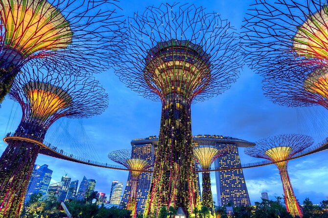 Private Singapore Night Tour With Gardens by the Bay,Trishaw Ride & River Cruise - Private Guides Undivided Attention