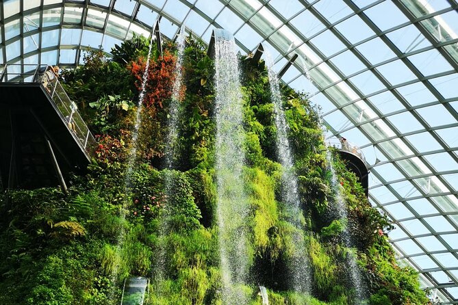 Private Singapore Night Tour With Gardens by the Bay,Trishaw Ride & River Cruise - Customer Reviews and Testimonials