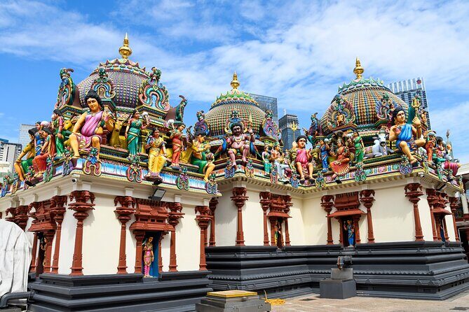 Private Singapore Tour Chinatown with Little India and Kampong - Who Will Love This Tour?