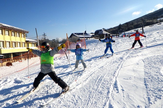 Private Ski Lesson for Family or Group(Transport Included ) - Terms & Conditions
