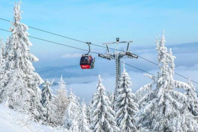 Private Ski Safari Day With Transport - Included Services