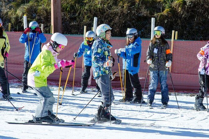 Private Ski Tour to Jisan, Vivaldy or Elysian Ski Resort - The Sum Up