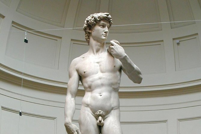 Private Skip-the-Line Florence Highlights and David Walking Tour - Traveler Reviews and Feedback