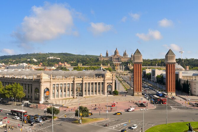 Private Skip the Line National Art Museum and Poble Espanyol Tour - Common Questions
