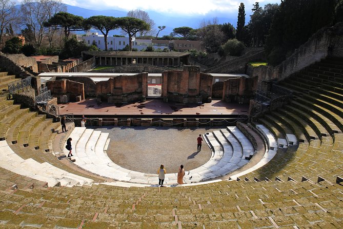 Private Skip the Line Tour of Pompeii With a Guide Expert in Archeology - Inclusions