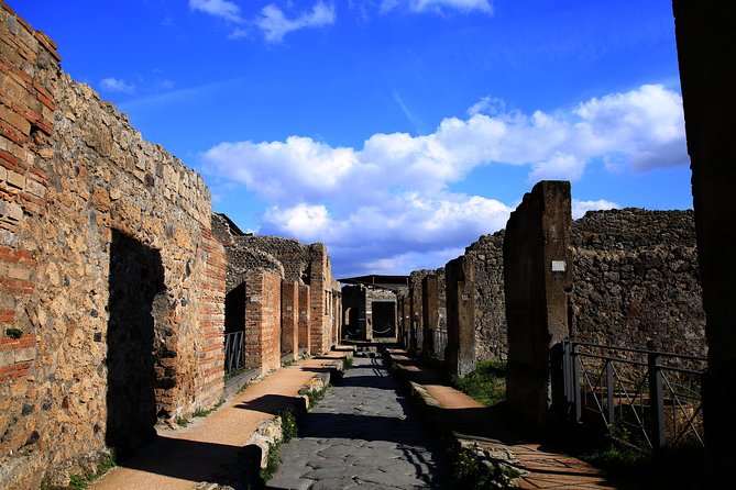 Private Skip the Line Tour of Pompeii With a Guide Expert in Archeology - Reservation Details