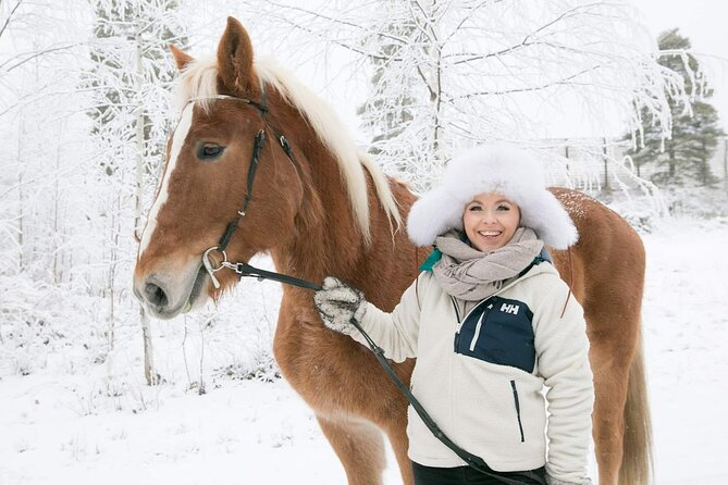 Private Sleigh Ride With Finnhorse - Pricing and Inclusions